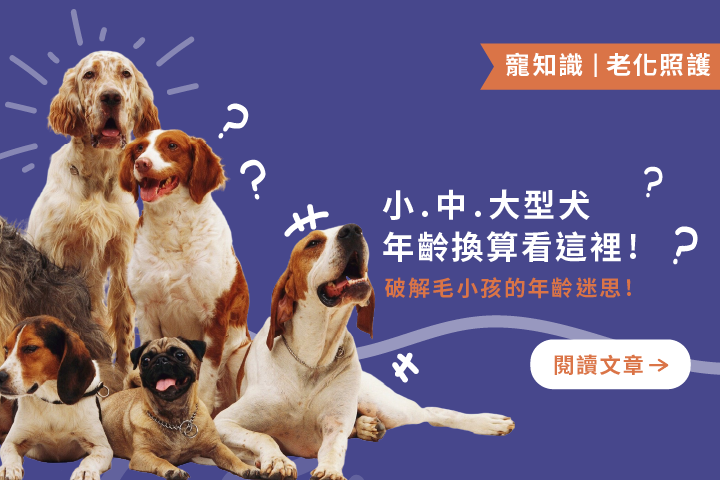 破解毛小孩年齡迷思｜小、中、大型犬，年齡換算看這裡！