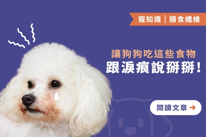 跟淚痕說掰掰！｜讓狗狗吃這７種天然食物幫助清除眼角困擾