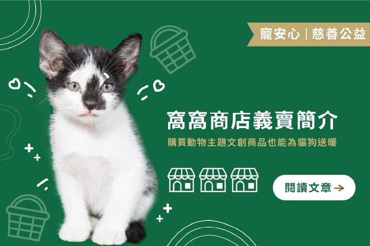 窩窩商店義賣簡介｜購買動物主題文創商品也能為貓狗送暖