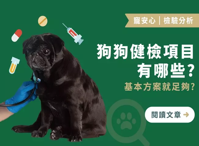 狗狗健檢項目有哪些？｜基本方案就足夠？