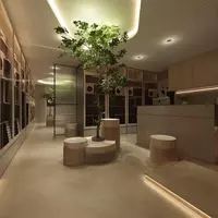 宅貓寓所貓旅店