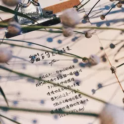 貓的生活提案