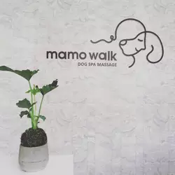 Mamowalk 狗狗水中跑步運動.按摩spa