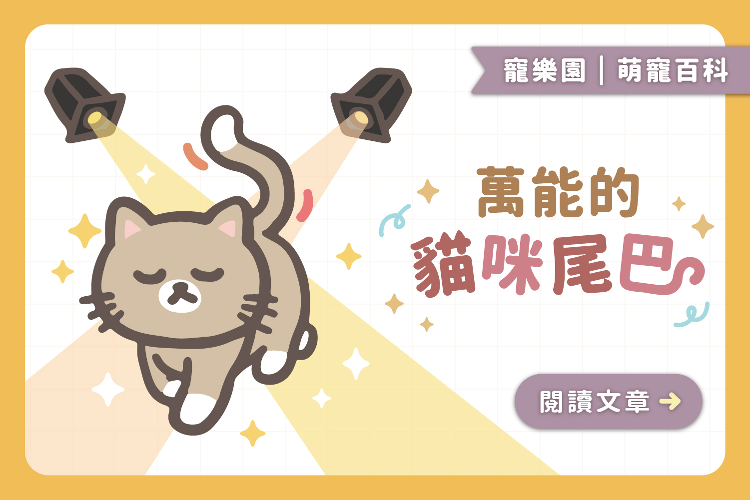 萬能的貓咪尾巴｜3個貓咪尾巴的實用功能