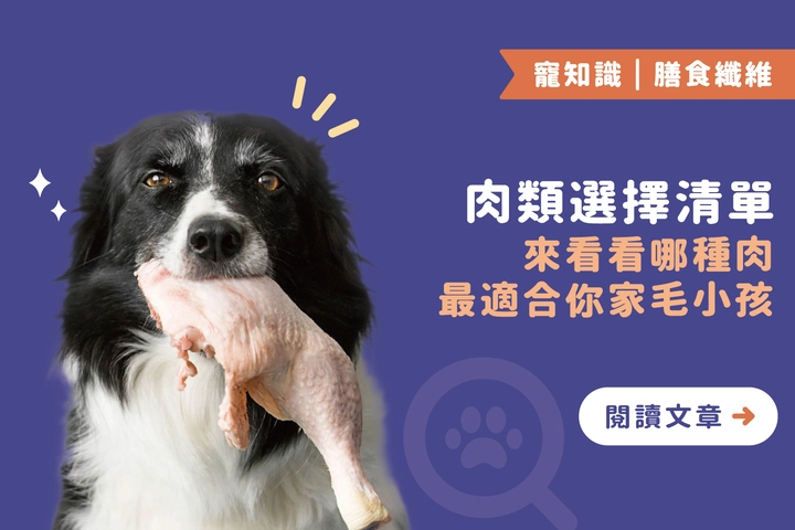選對肉，毛小孩更健康！白肉 vs 紅肉營養懶人包