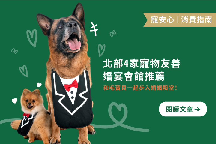 北部4家寵物友善婚宴會館推薦，和毛寶貝一起步入婚姻殿堂！