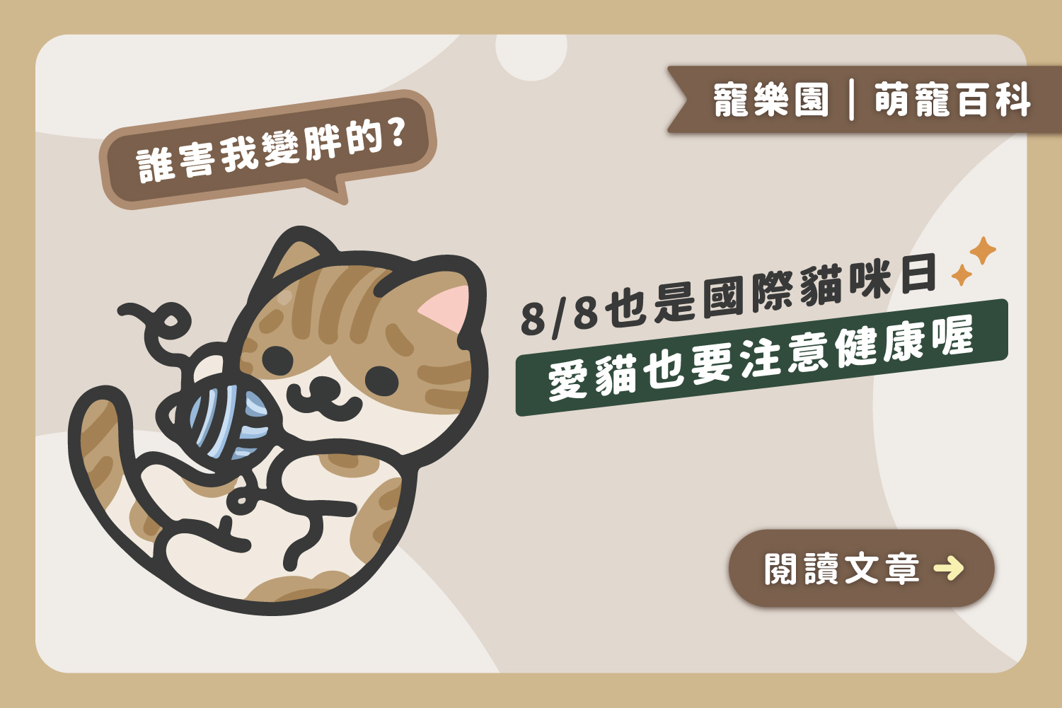 88也是國際貓咪日｜愛貓也要注意健康喔﻿
