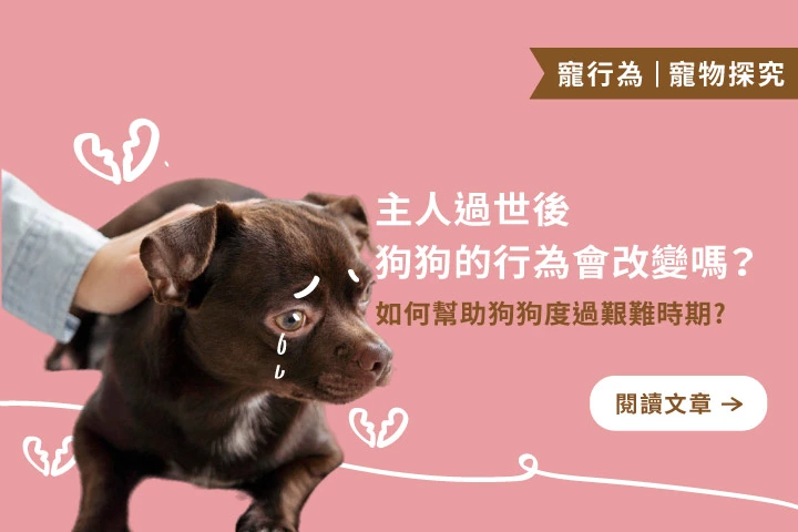 牠變了，是因為你不在了：幫狗狗走過失落的7種方式