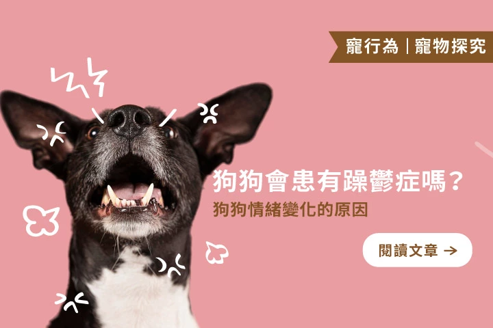 狗狗會有躁鬱症嗎？拆解毛孩情緒劇烈變化的真正原因