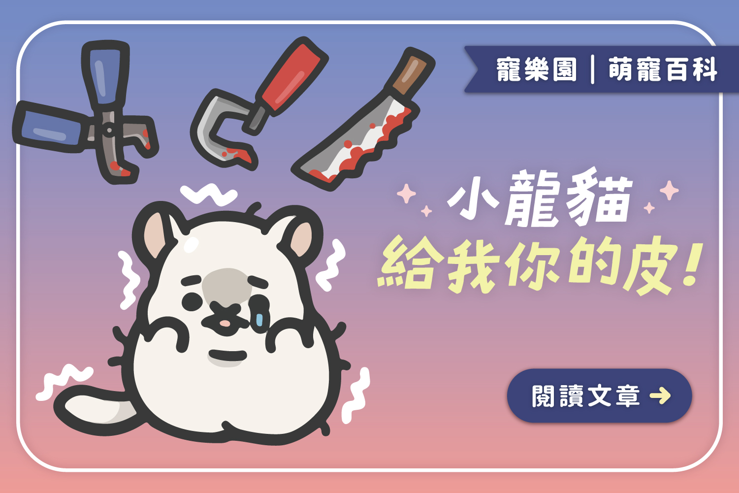 小龍貓給我你的皮｜90年代殘酷真相，龍貓皮草黑歷史曝光！