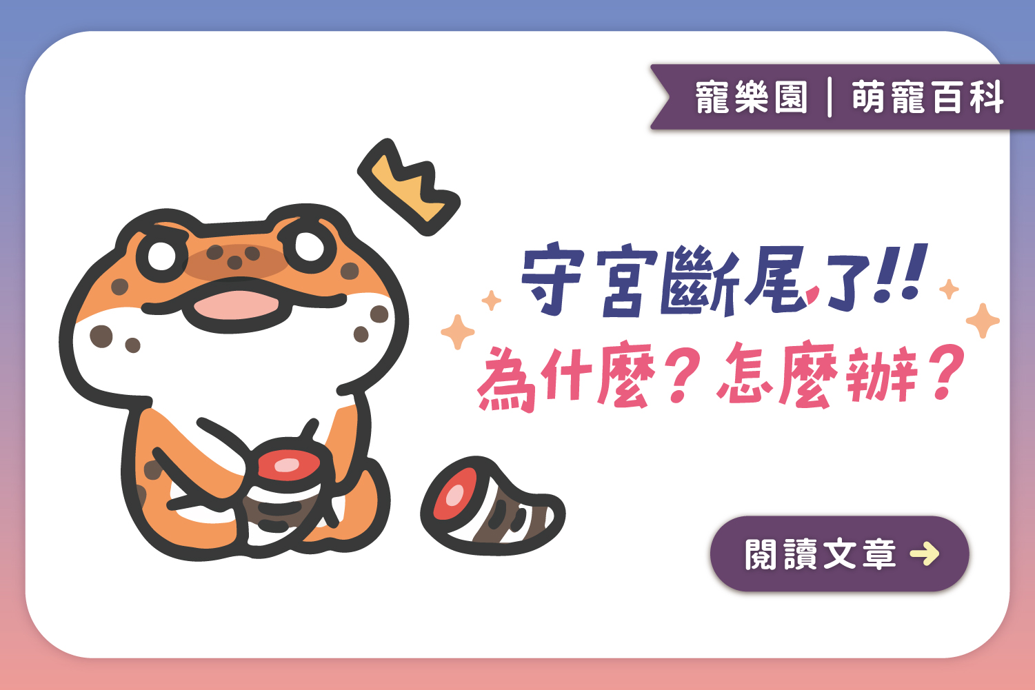 😱守宮斷尾了!｜守宮斷尾的５個冷知識