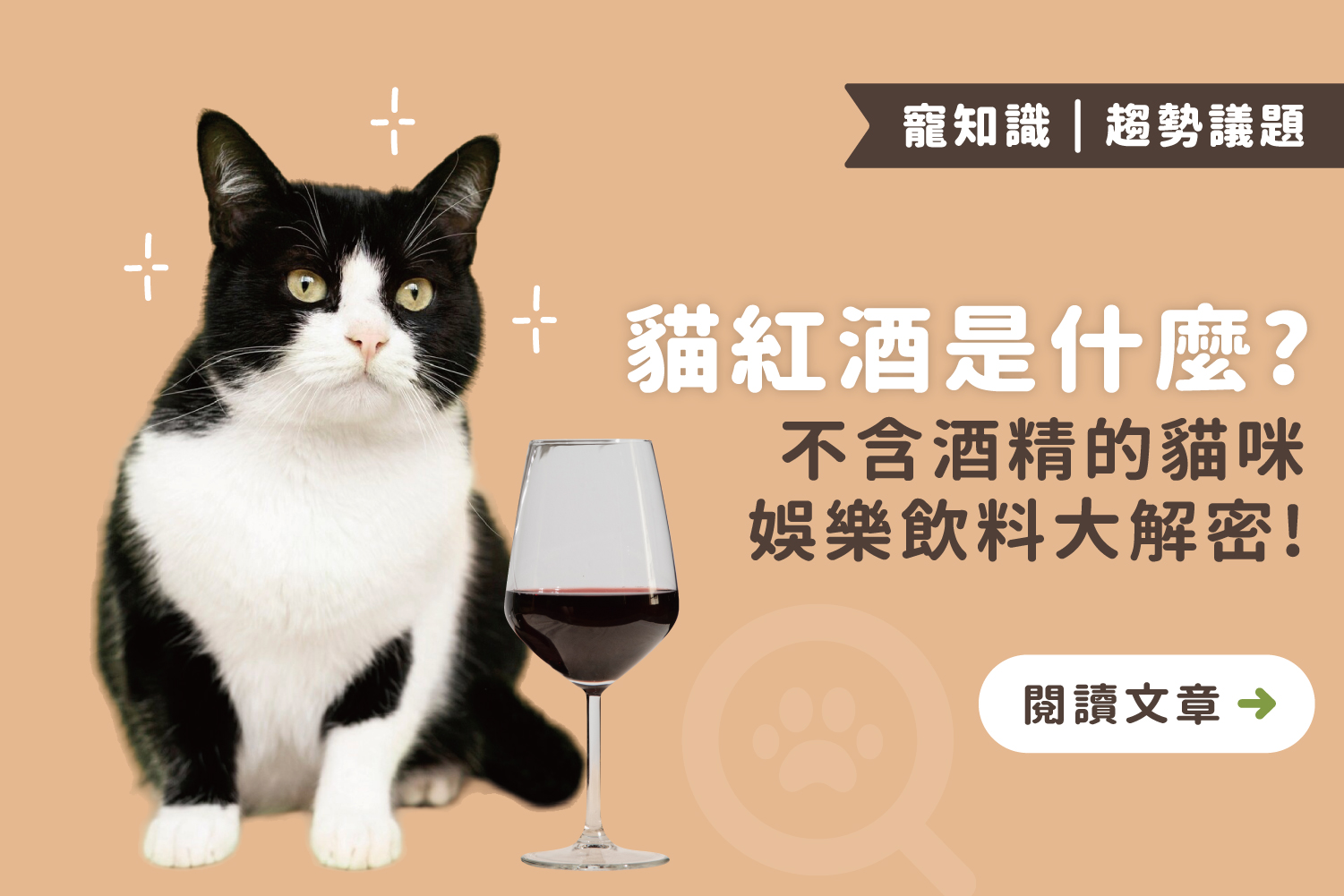 貓咪的小酌時光來了？一起解密貓紅酒