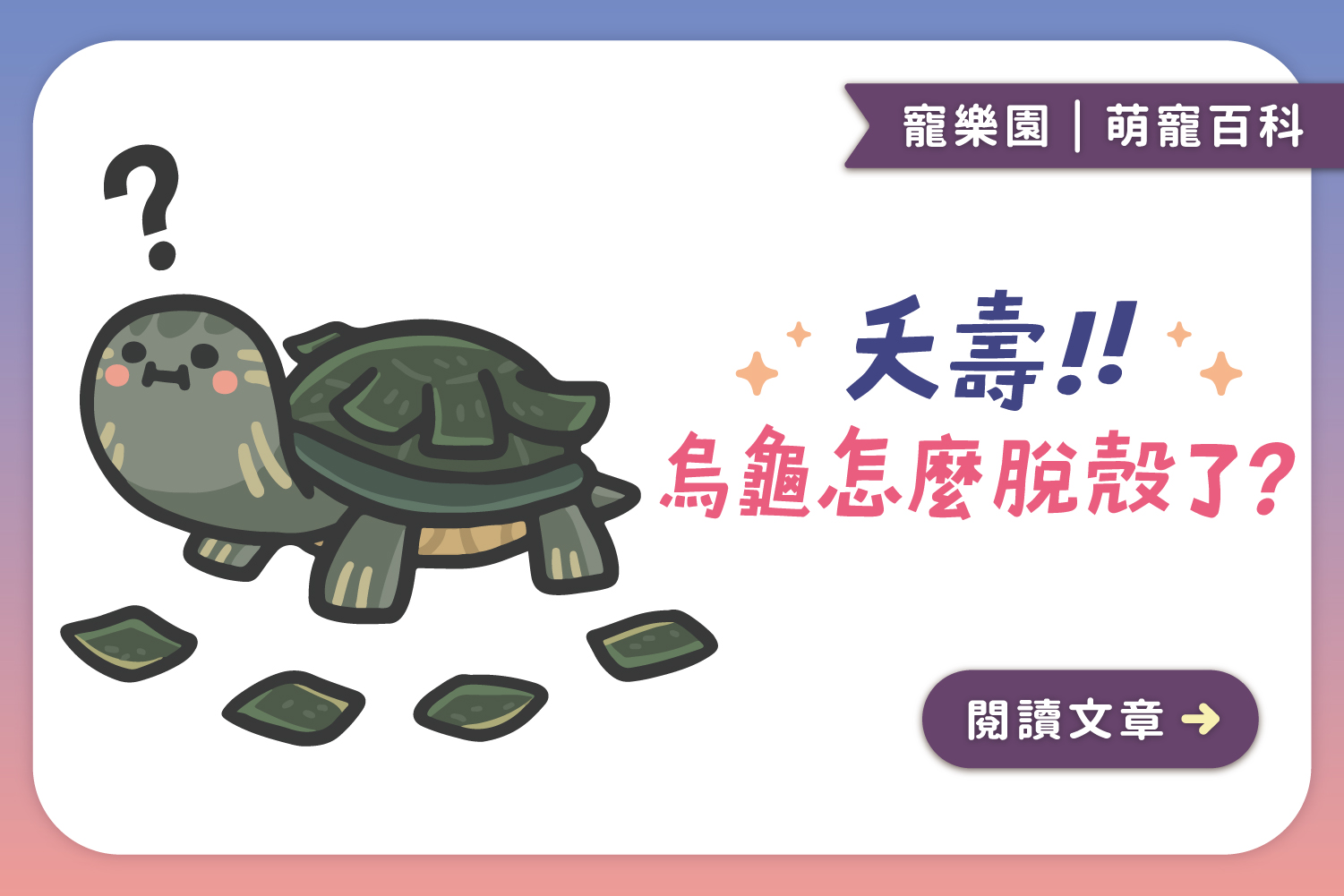 夭壽😱烏龜怎麼脫殼了｜烏龜脫殼實錄