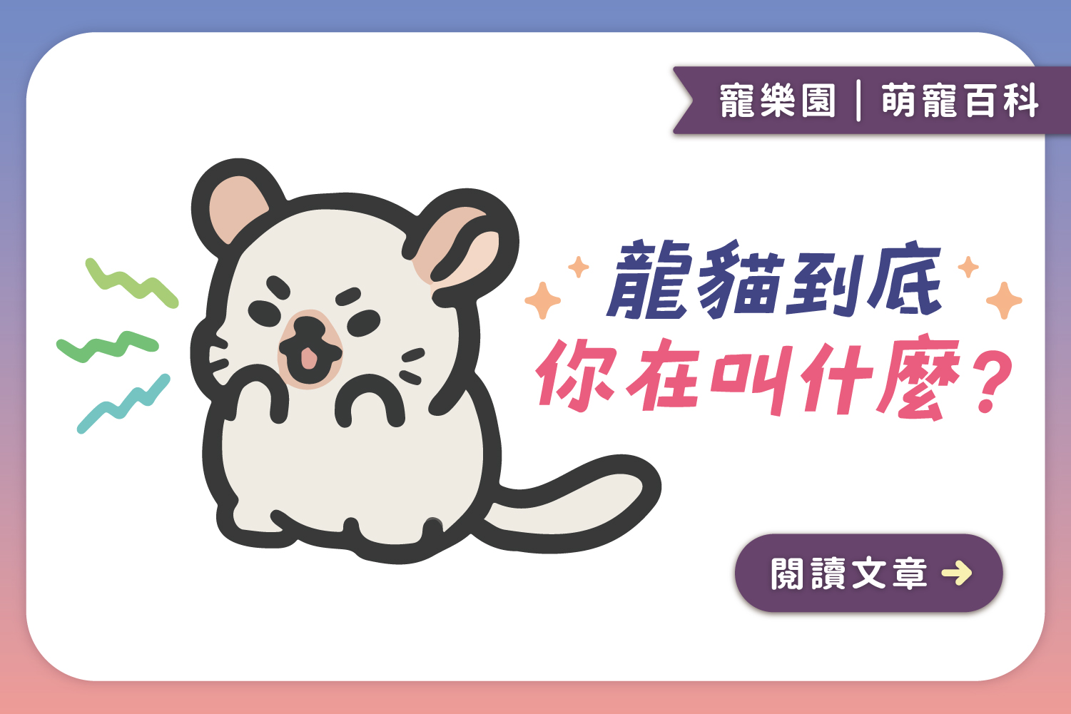 🔊龍貓到底你在叫什麼？｜5個龍貓日常叫聲解析