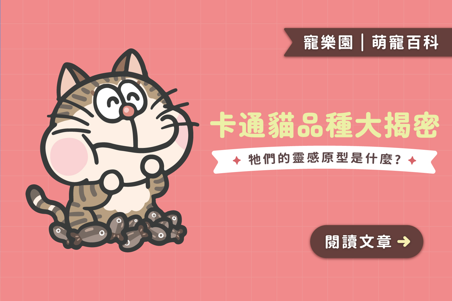 卡通貓品種大揭密｜靈感原型是什麼🥴