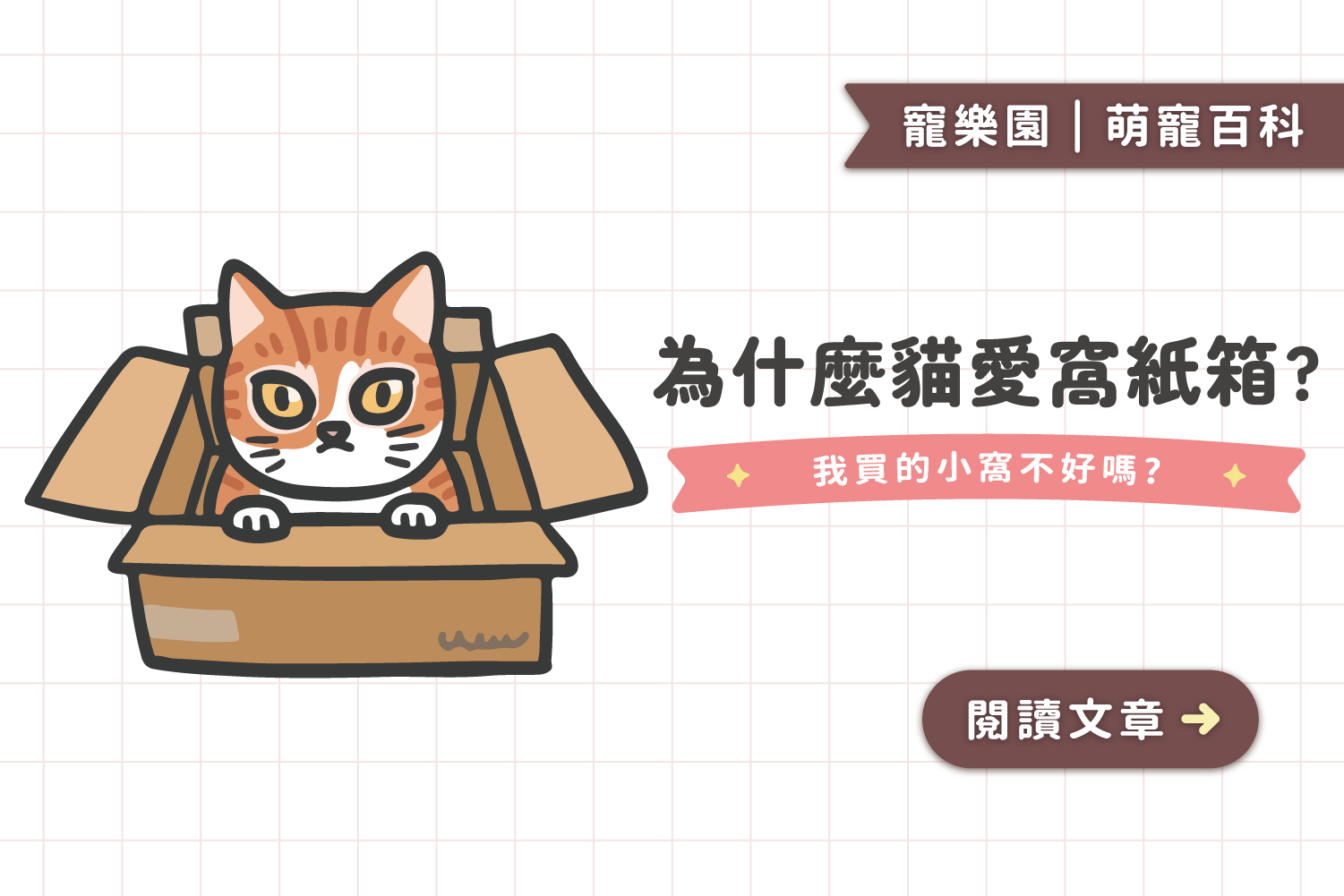紙箱對貓咪的魅力？🤔｜貓咪愛窩紙箱的4個原因