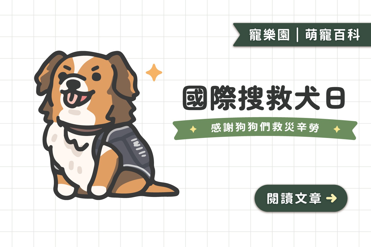 國際搜救犬日﻿｜致敬所有在災難發生時努力救災的狗狗們🫡