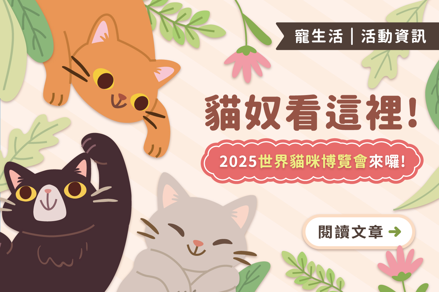 貓奴看這裡！2025/10/10-10/13世界貓咪博覽會來囉！