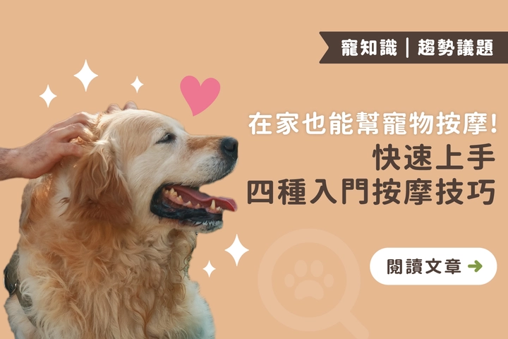 在家也能幫寵物按摩！快速上手四種入門按摩技巧，為毛小孩好好保養