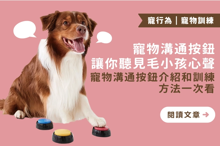 一鍵解鎖毛孩語言，寵物溝通按鈕方法全公開！