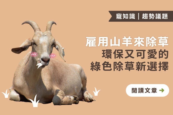 山羊上工啦！環保又可愛的除草新產業