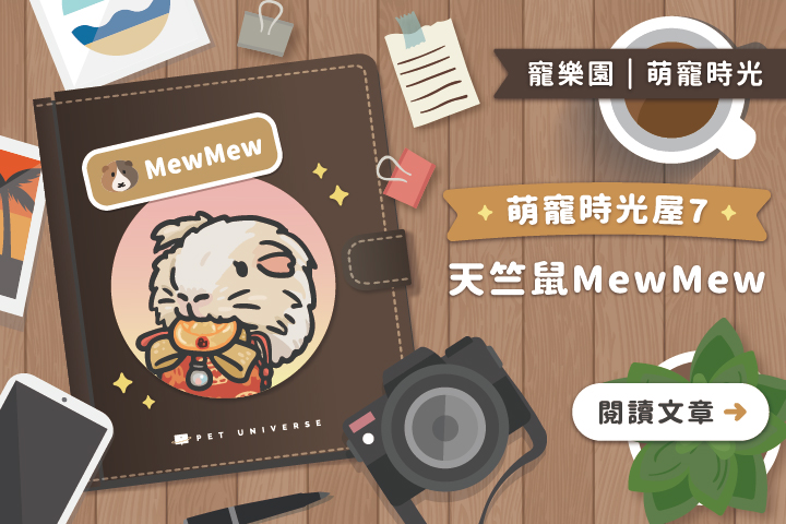 萌寵時光屋｜第七位主角🐹MewMew