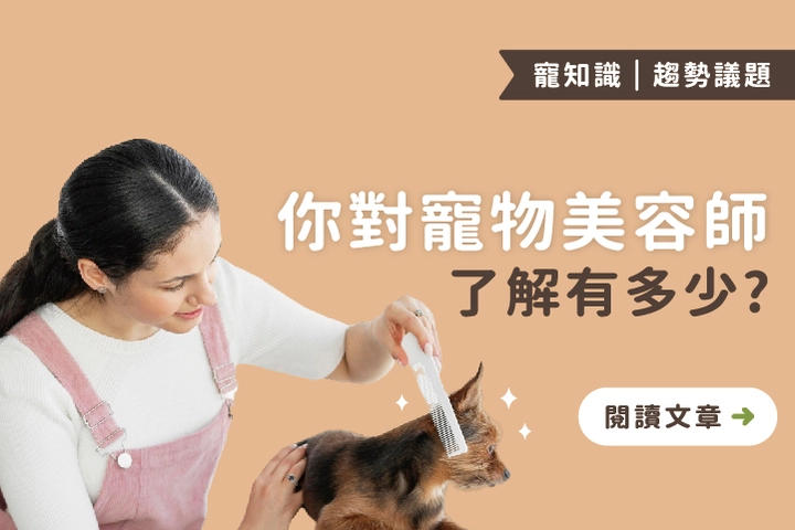 寵物美容師全攻略：你以為只是洗澡？其實專業更多！