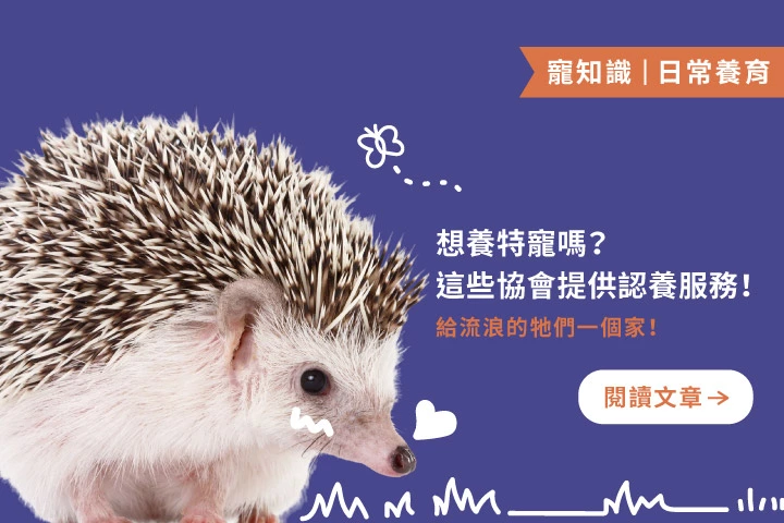 想養特寵嗎？這些協會提供認養服務！給流浪的牠們一個家！