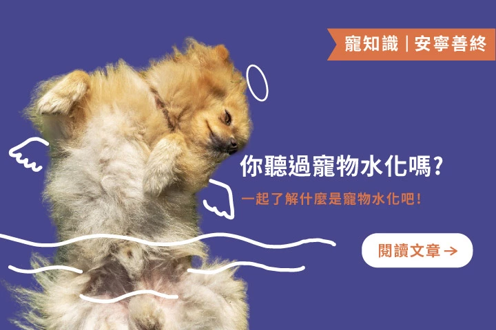 什麼是寵物水化？新興環保殯葬方式一次看懂
