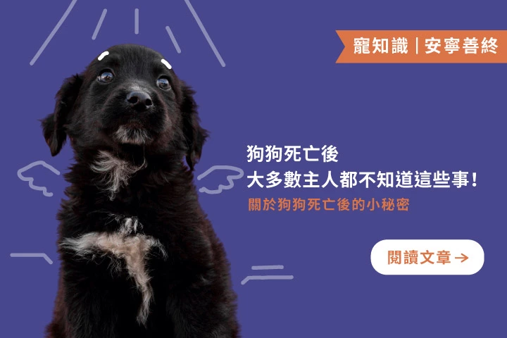 狗狗死亡後，大多數主人都不知道這些事！