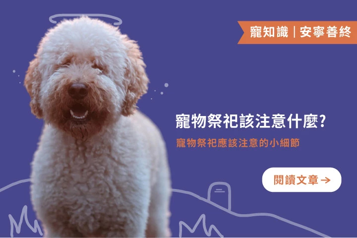 寵物離世後，你該知道的 5 個祭祀細節