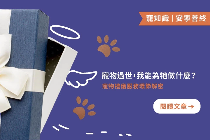 寵物過世，我能為牠做什麼？寵物禮儀服務環節解密