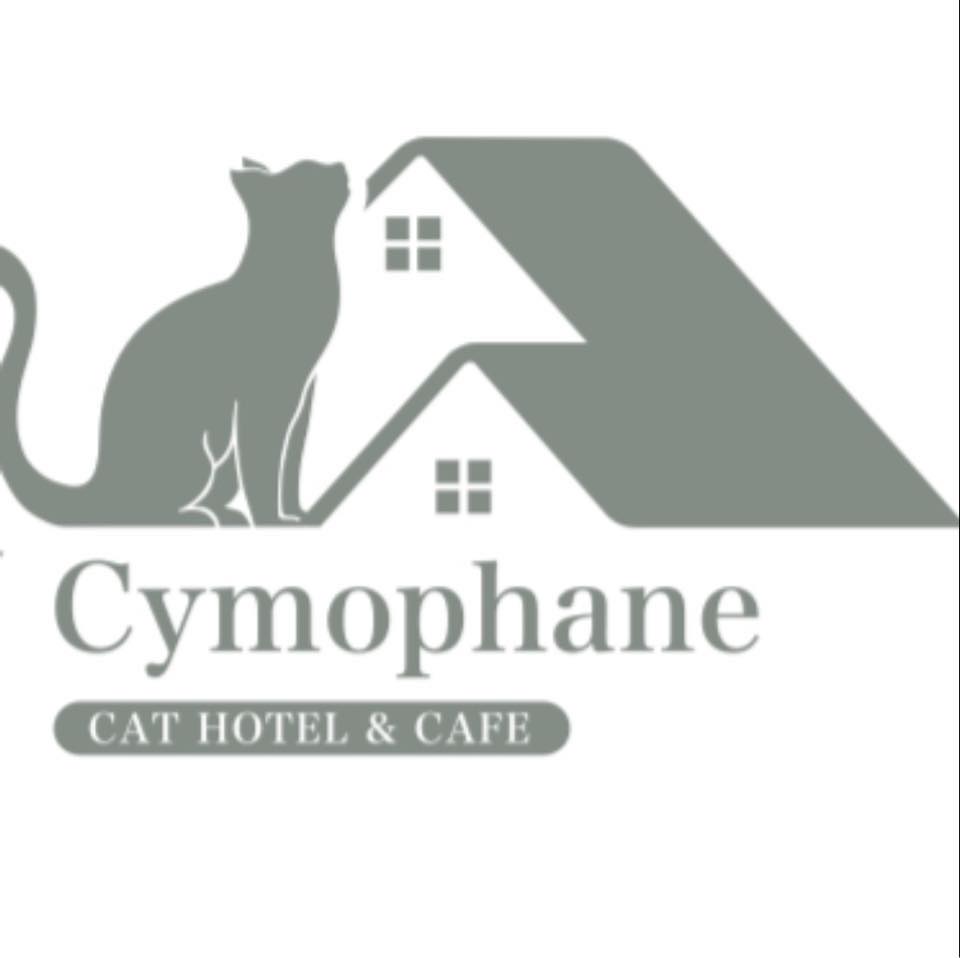 烏圓炯炯貓旅+咖啡