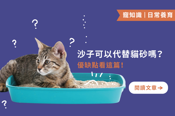 沙子可以代替貓砂嗎?優缺點看這篇!