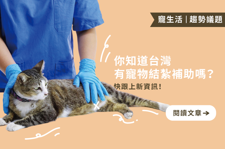 你知道台灣有寵物結紮補助嗎?快跟上新資訊!