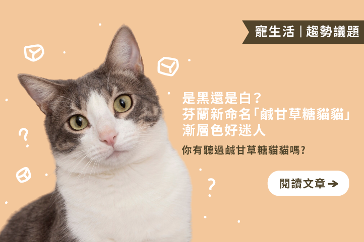 到底是黑貓還是白貓?芬蘭貓界出現新口味:鹹甘草糖貓