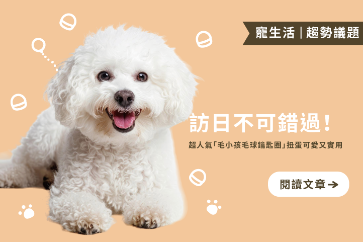 訪日不可錯過!超人氣「毛小孩毛球鑰匙圈」扭蛋可愛又實用