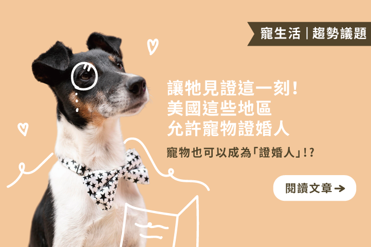 讓牠見證這一刻!美國這些地區允許寵物證婚人