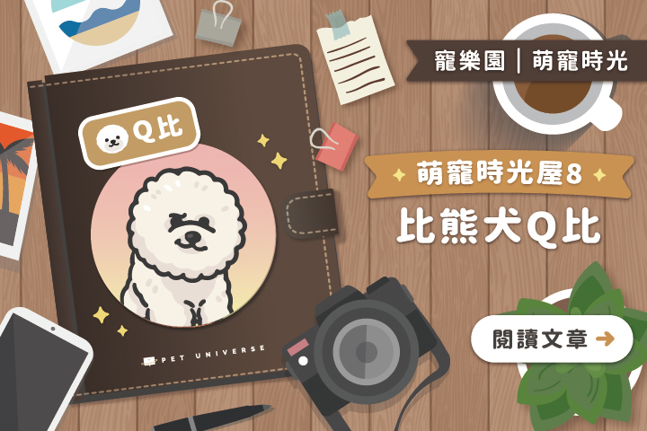 萌寵時光屋｜第八位主角🐶Q比