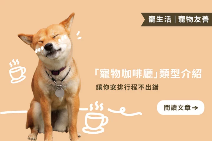 「寵物咖啡廳」不只一種？4種類型讓你選對行程更輕鬆