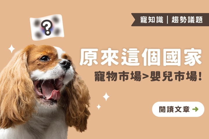 少子化時代的最大翻轉！韓國寵物市場，竟超車嬰兒市場！