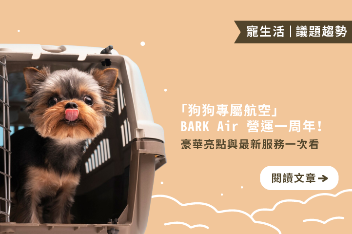 「狗狗專屬航空」BARK Air 營運一周年！豪華亮點與最新服務一次看