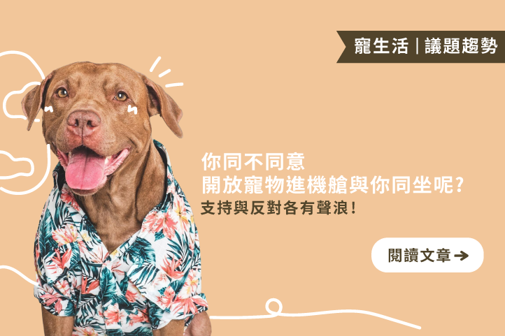 寵物能不能進機艙？支持與反對聲浪正面交鋒