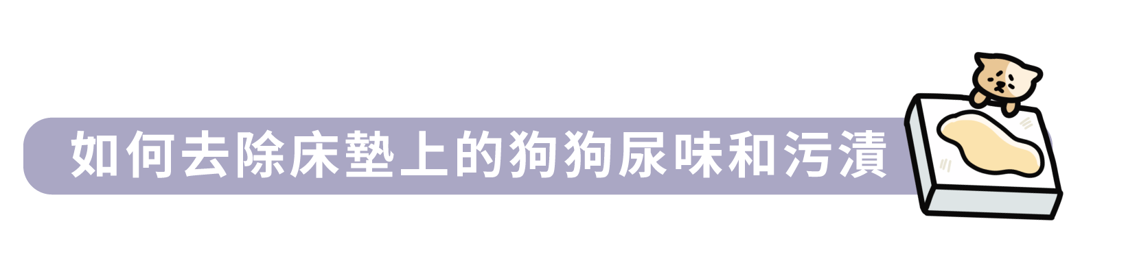 如何去除床墊上的狗狗尿味和污漬