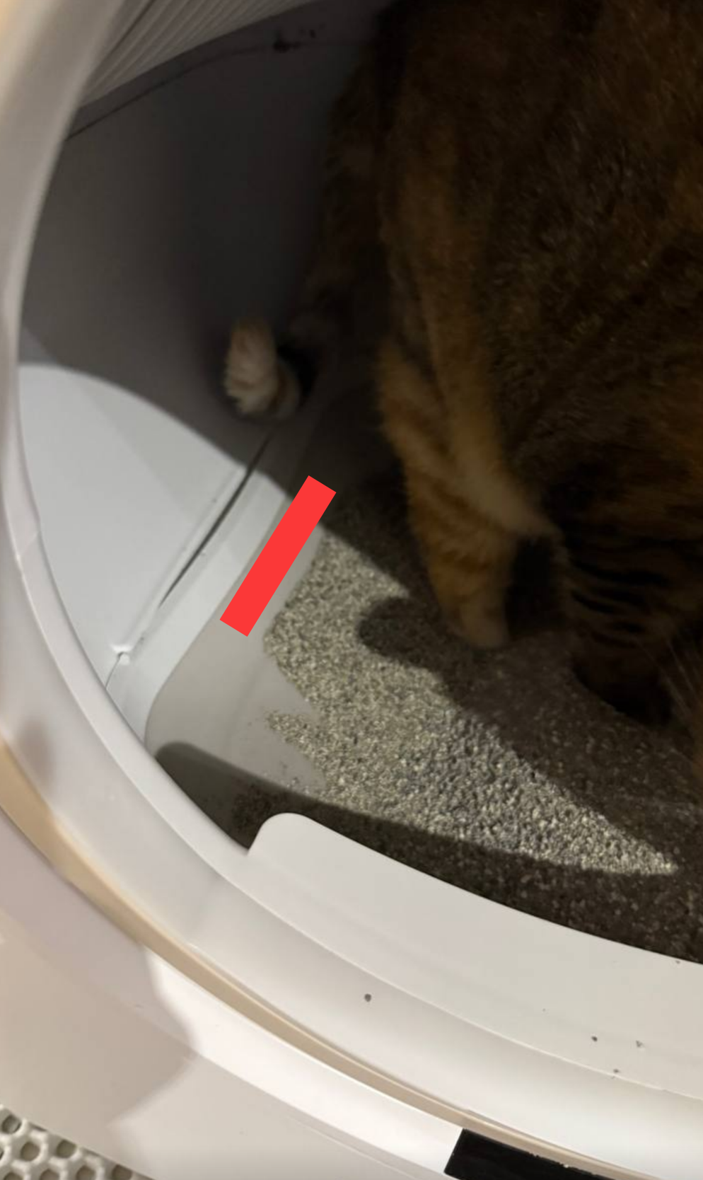 #避雷【Nice U自動貓砂機】使用半年多的心得