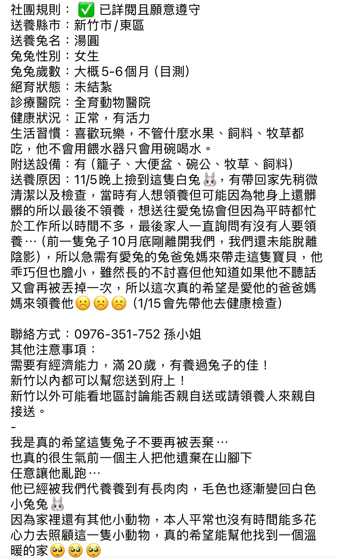 【送養】新竹🐰湯圓🐰女生，目測7-8個月，未結紮